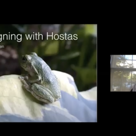 Designing with Hostas