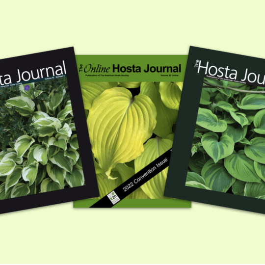 The Hosta Journal Montage