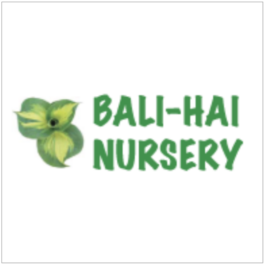 Bali Hai Nursery