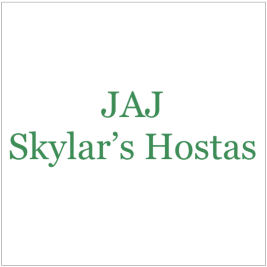 JAJ Skylar Hostas