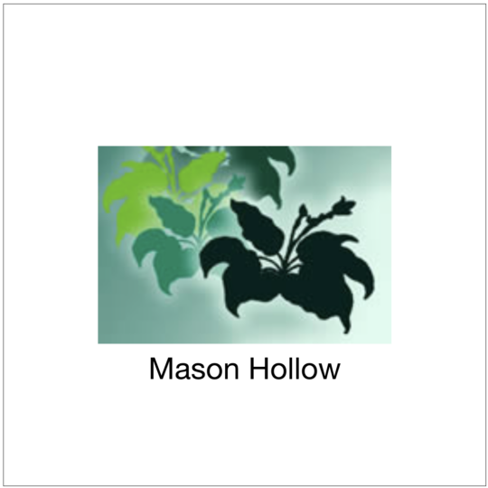 Mason Hollow
