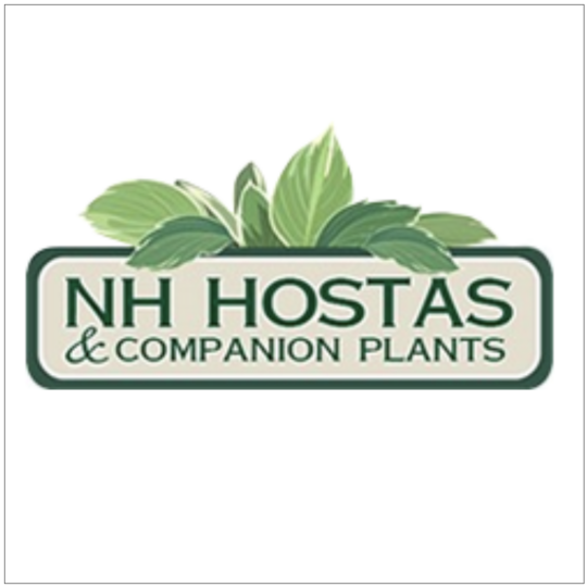 New Hampshire Hostas