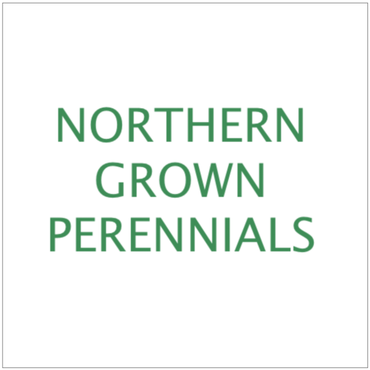Northern Grown Perennials