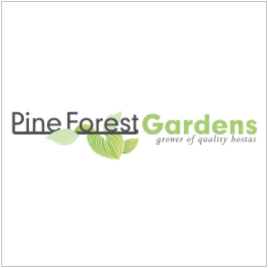 Pine Forest Gardens Logo
