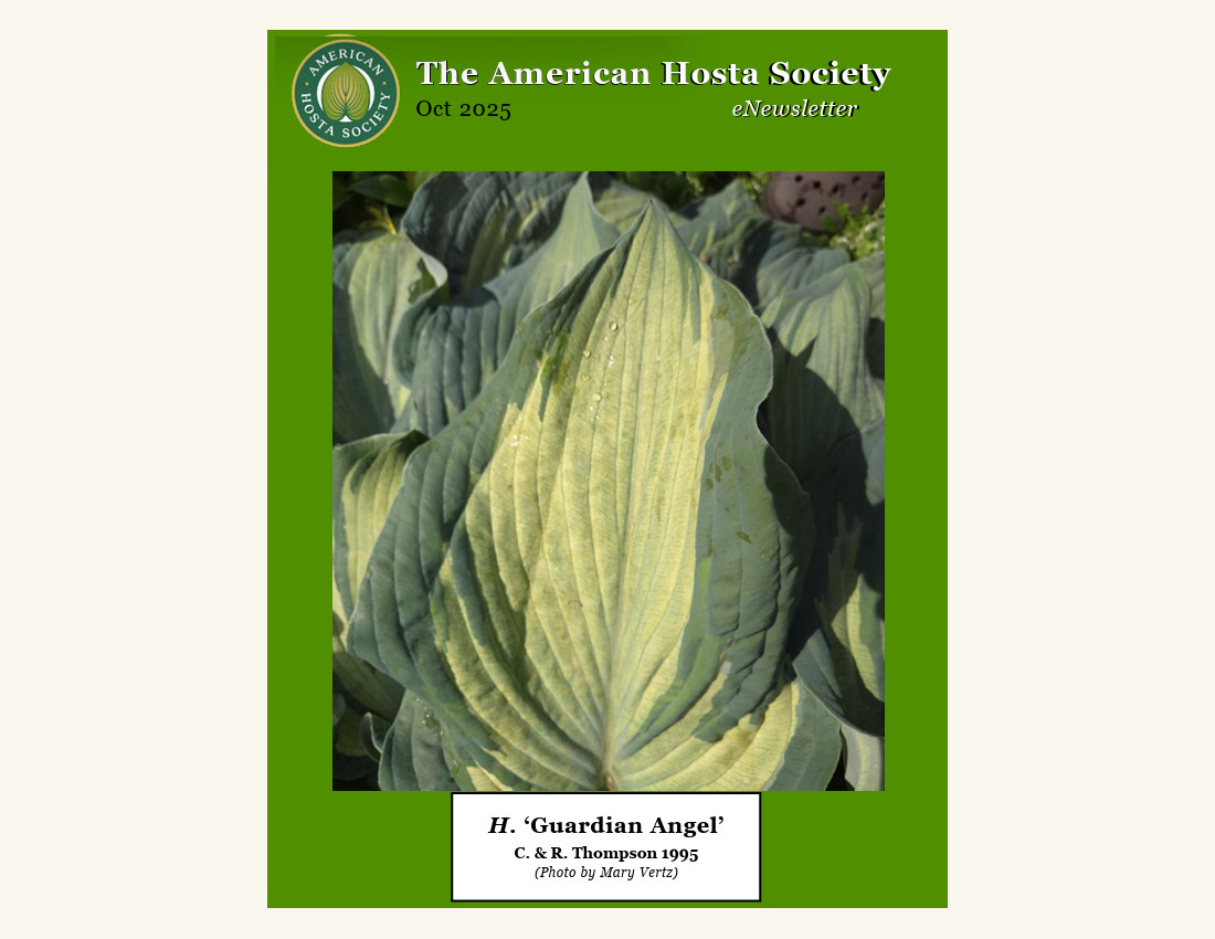 October 2025 eNewsletter
